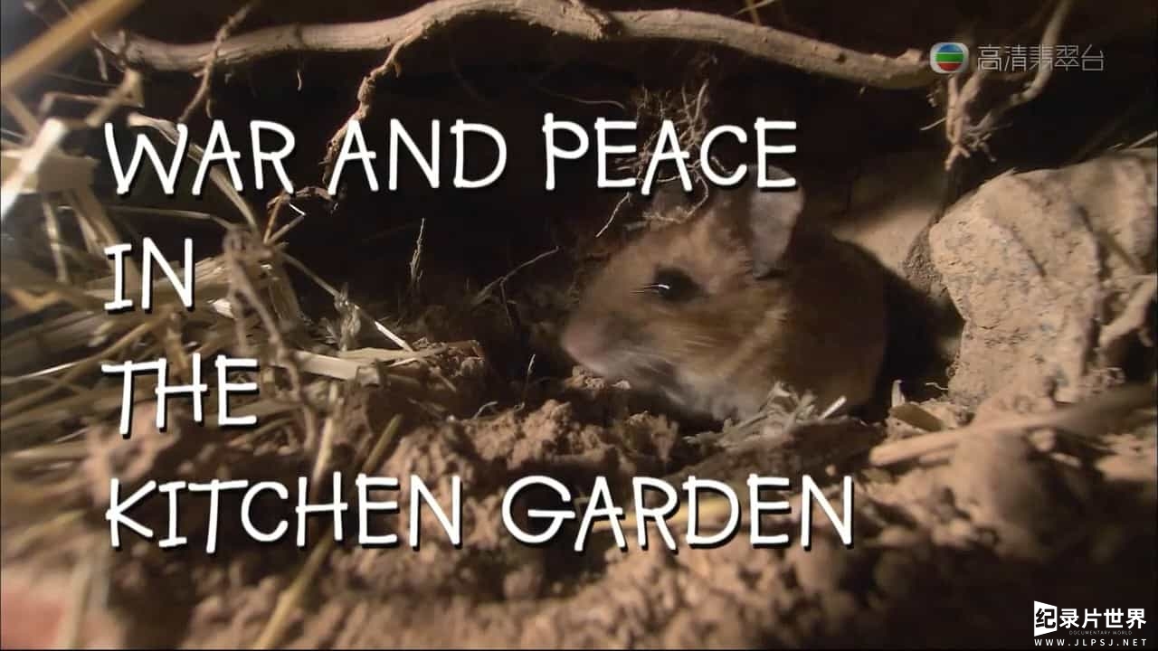 法国纪录片《菜园里的战争与和平/菜虫战记 War And Peace In The Kitchen Garden 2006》粤英双语中字01