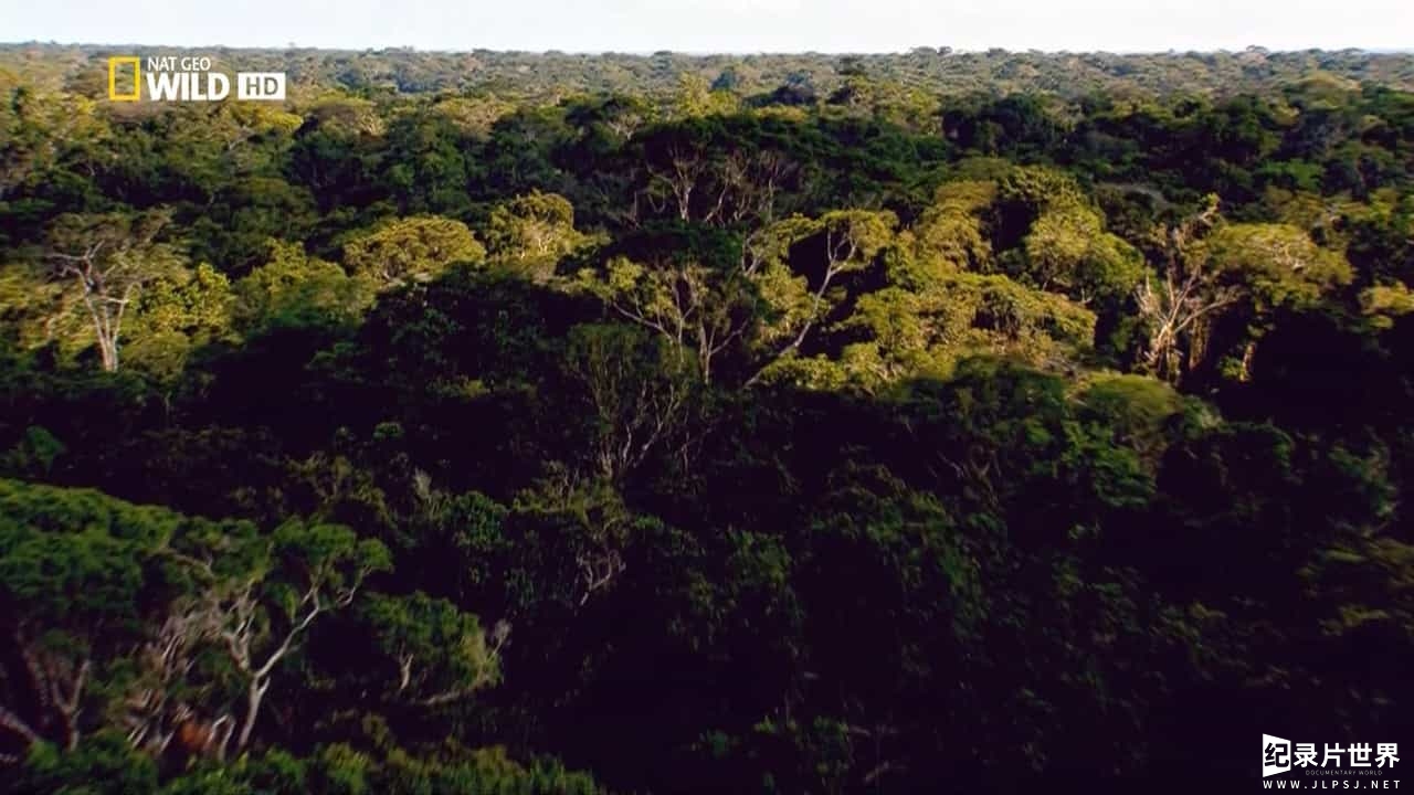 国家地理频道《野性亚马逊 Wild Amazon》全2集