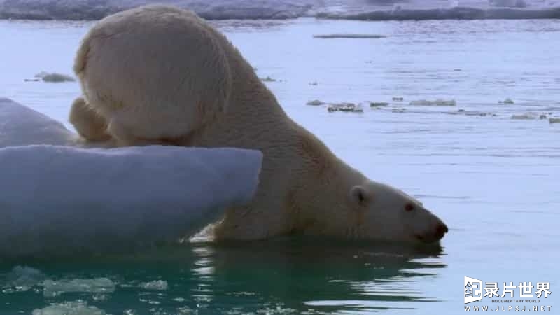 BBC纪录片《自然界大事件 Nature’s Great Events》全6集 