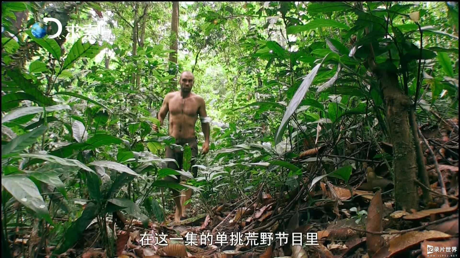 德哥荒野求生纪录片《单挑荒野 Marooned With Ed Stafford 2013~2016》