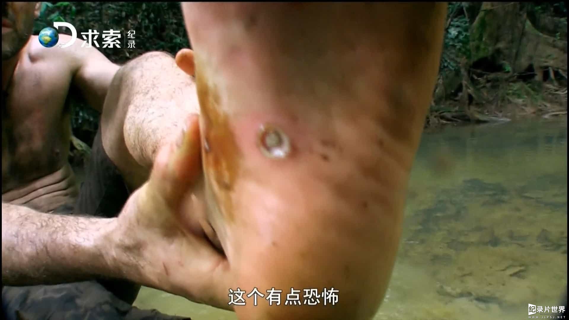 德哥荒野求生纪录片《单挑荒野 Marooned With Ed Stafford 2013~2016》