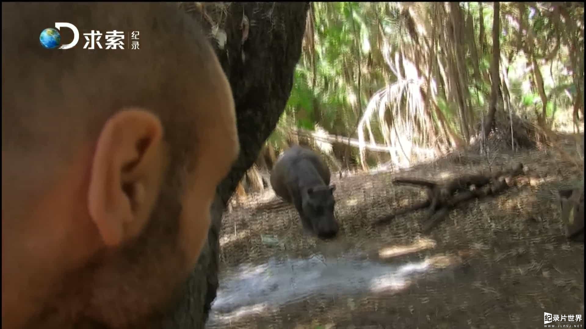 德哥荒野求生纪录片《单挑荒野 Marooned With Ed Stafford 2013~2016》