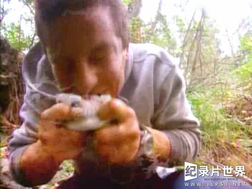 探索频道《荒野求生 Man vs Wild》