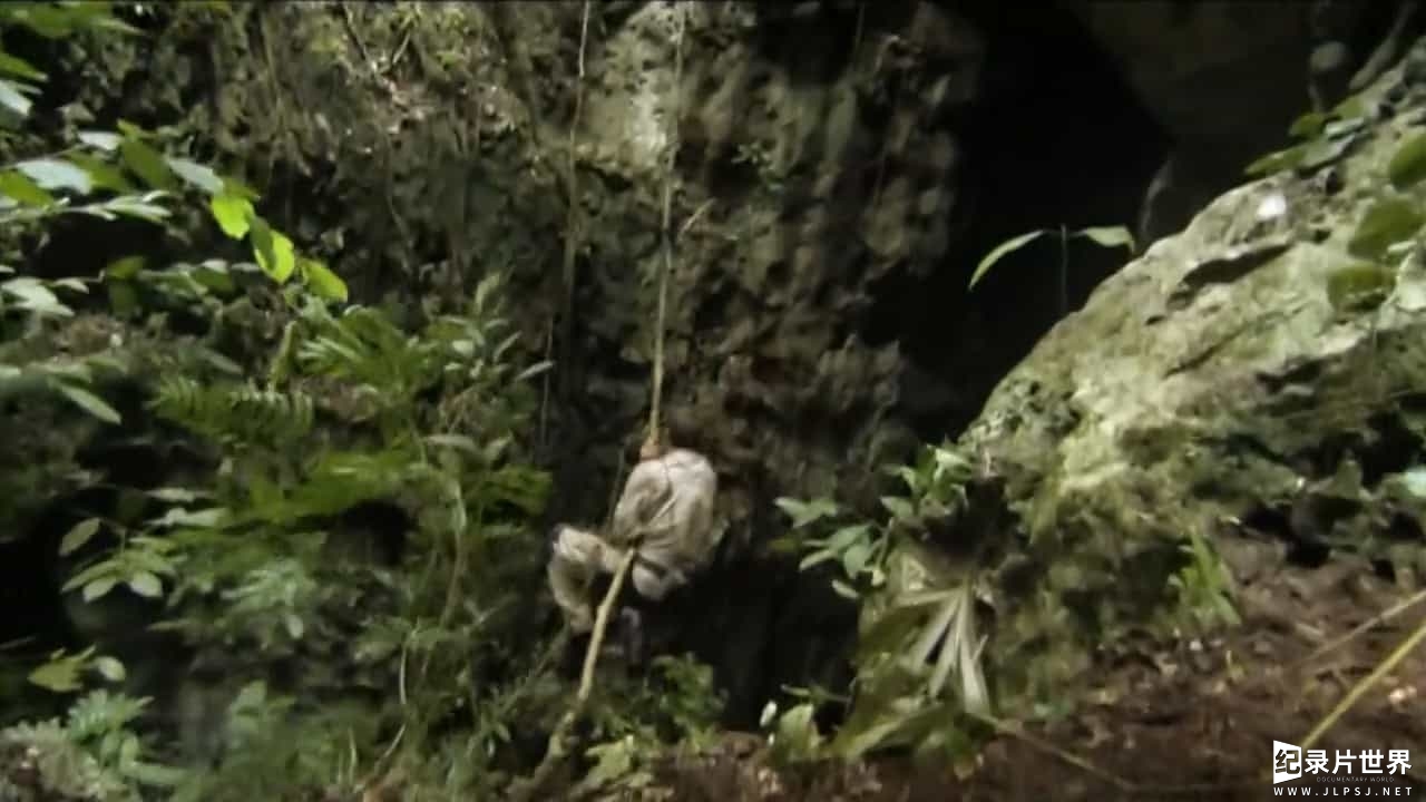 探索频道《荒野求生 Man vs Wild》