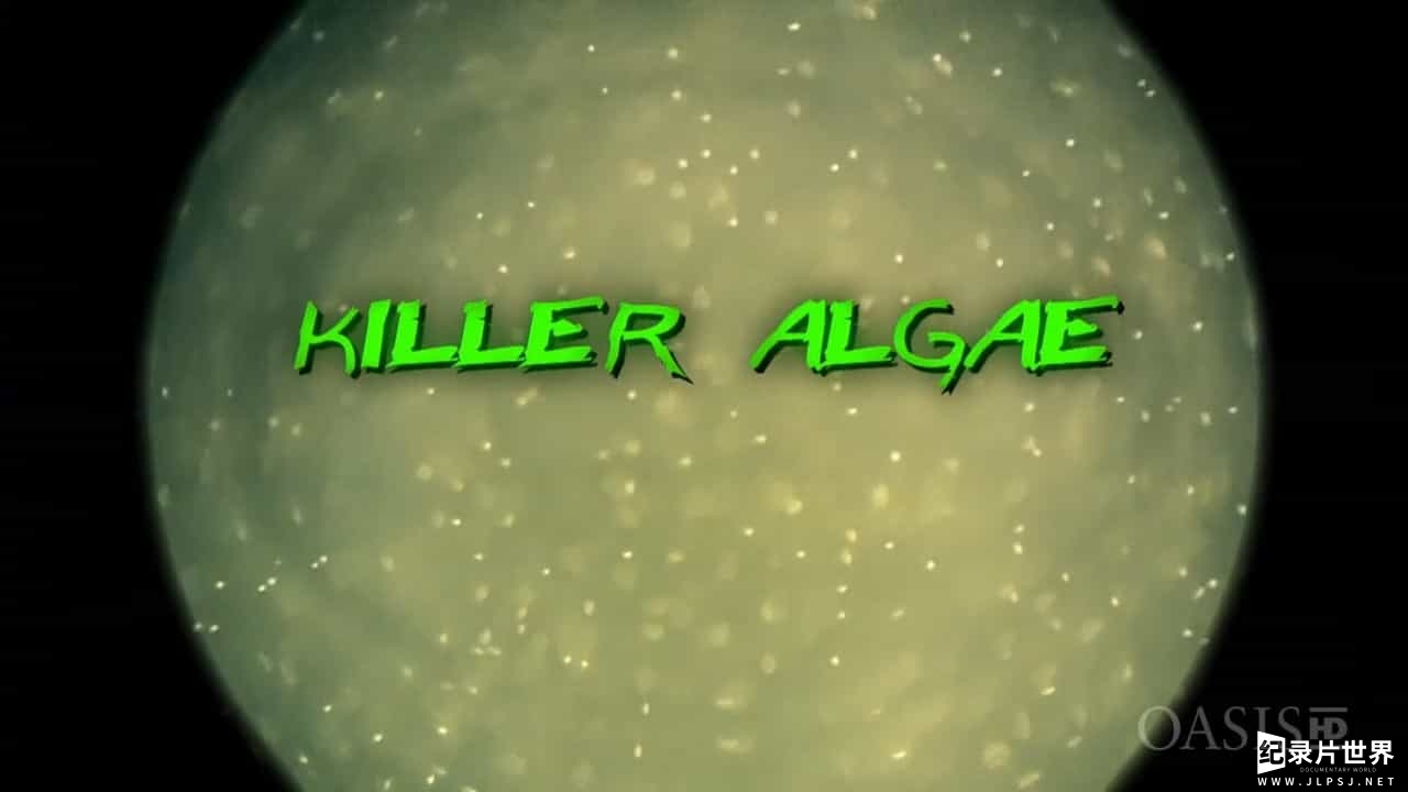杀手藻 Killer Algae 2009