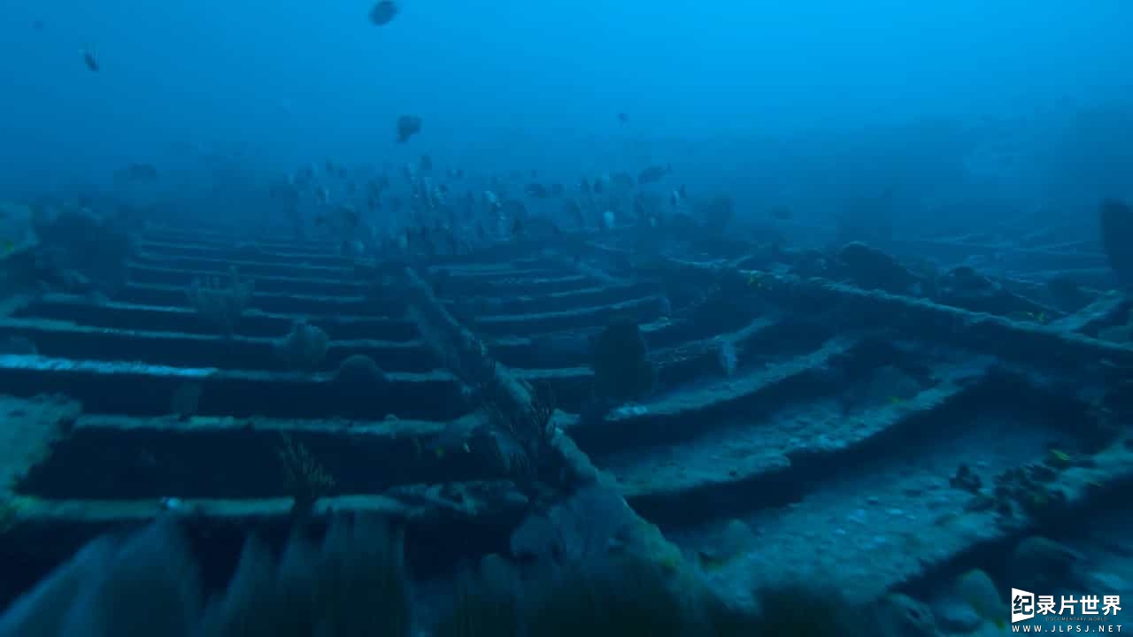 BBC海洋纪录片《海洋巨物 Ocean Giants 2011》全3集
