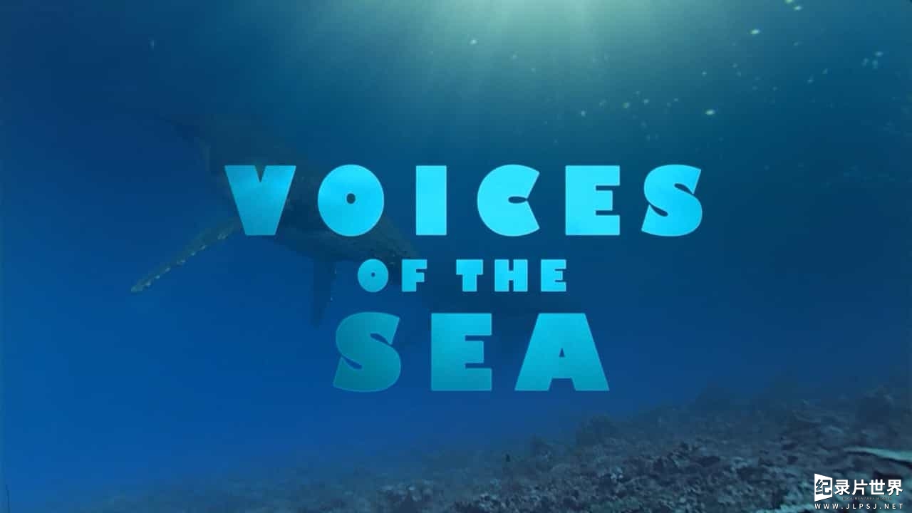 BBC海洋纪录片《海洋巨物 Ocean Giants 2011》全3集09