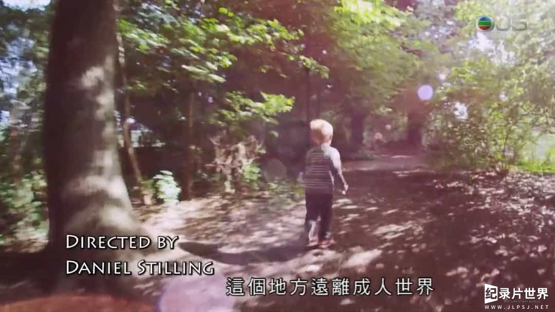 中小学教育纪录片《北欧自然教育 Natureplay Take Childhood Back》粤语中字