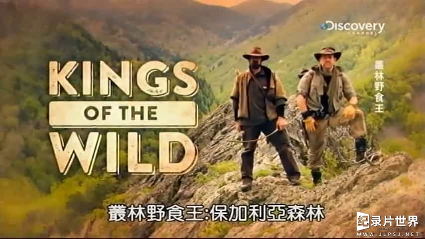 丛林野食王 Kings of the Wild》全6集