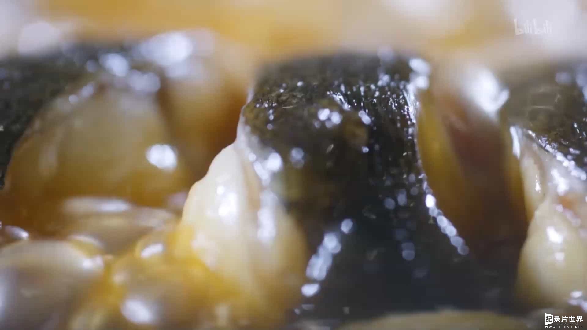 美食纪录片/世界美食系列《鳗鱼的故事 The Story of Eel 2019》全3集