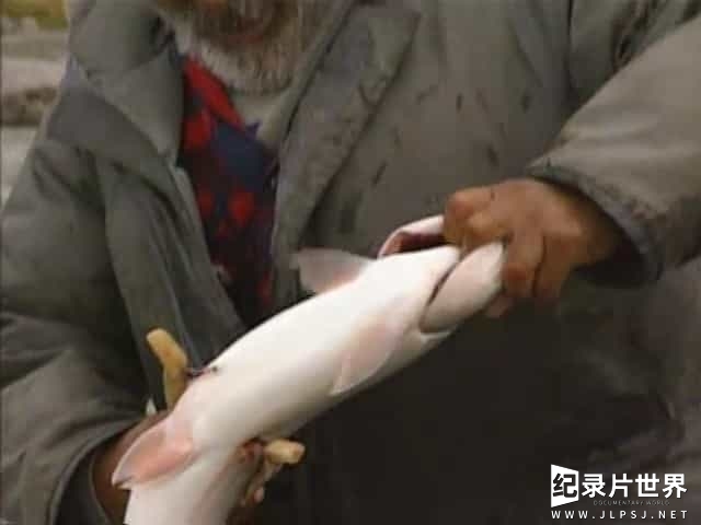 NHK/世界美食系列《河海的猎人们系列》全4集