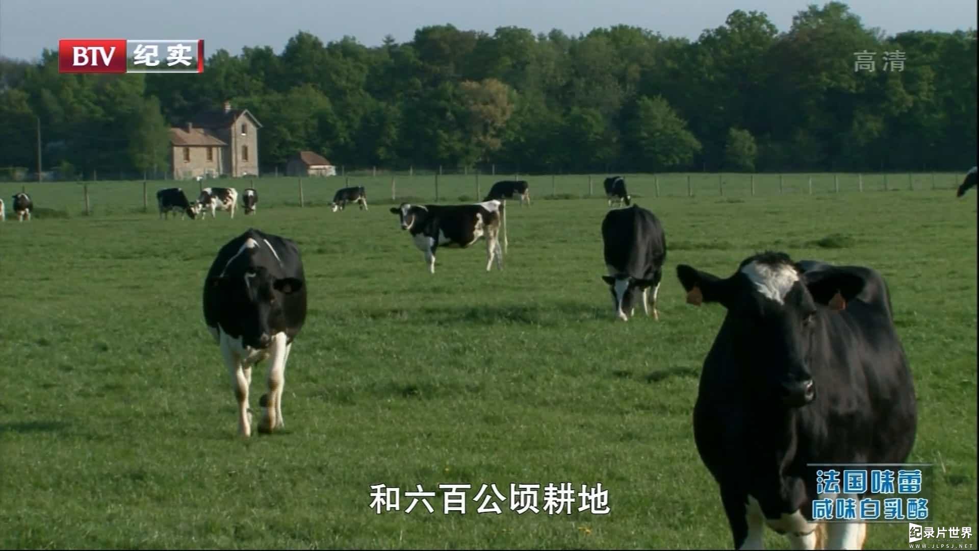 法国美食纪录片/世界美食系列《法国味蕾 French Gourmet》全10集