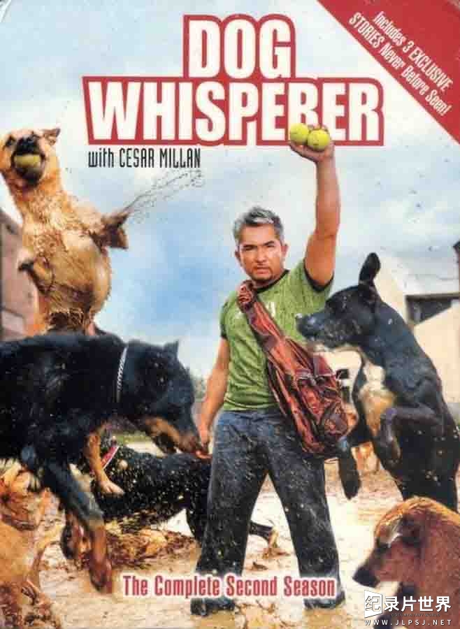 狗狗纪录片/萌宠系列《报告狗班长/狗语者 Dog Whisperer with Cesar Millan》 英语中字