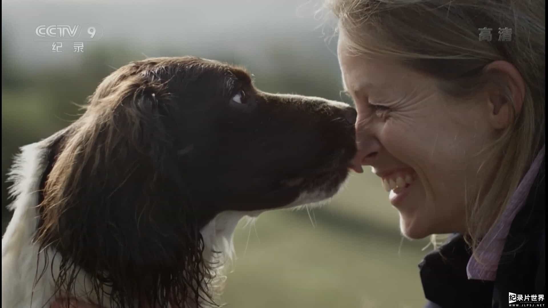 宠物纪录片/萌宠系列《萌犬秘闻/狗的秘密生活 Secret Life of Dogs 2013》