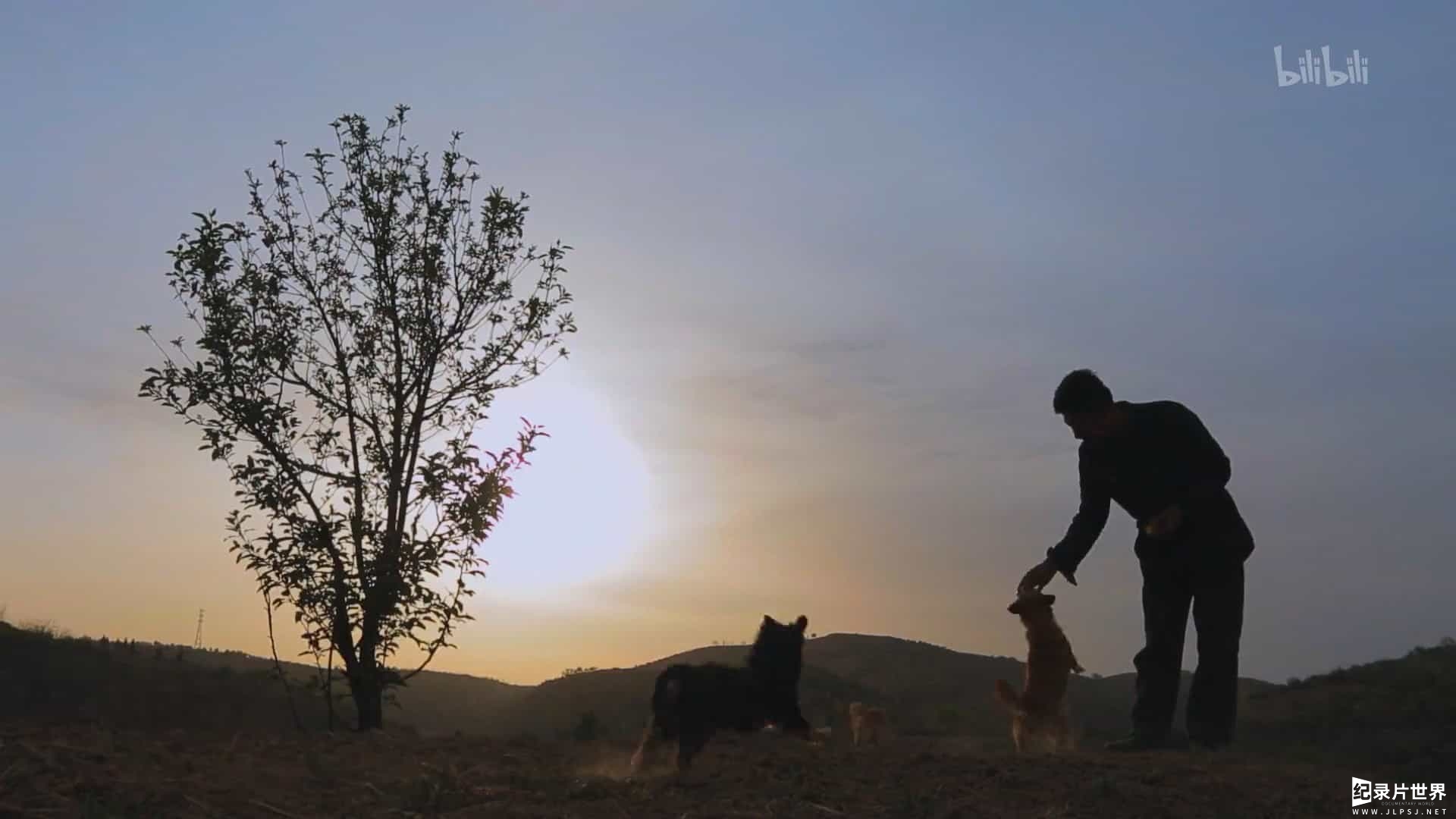 宠物纪录片/萌宠系列《狗狗在中国 Dogs in China》全5集 国语中字