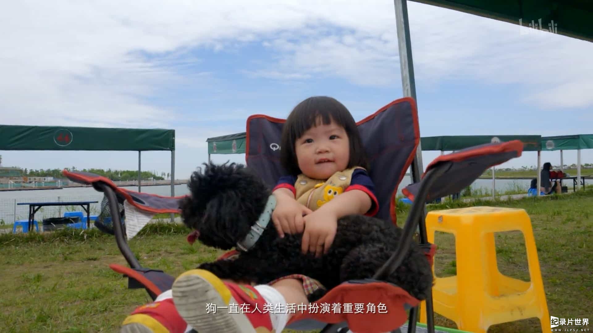 宠物纪录片/萌宠系列《狗狗在中国 Dogs in China》全5集 国语中字