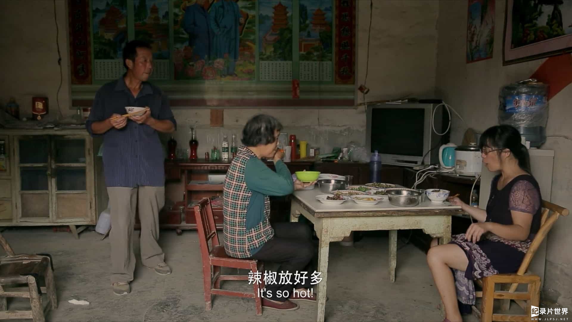 女性纪录片《摇摇晃晃的人间2016》国语中字