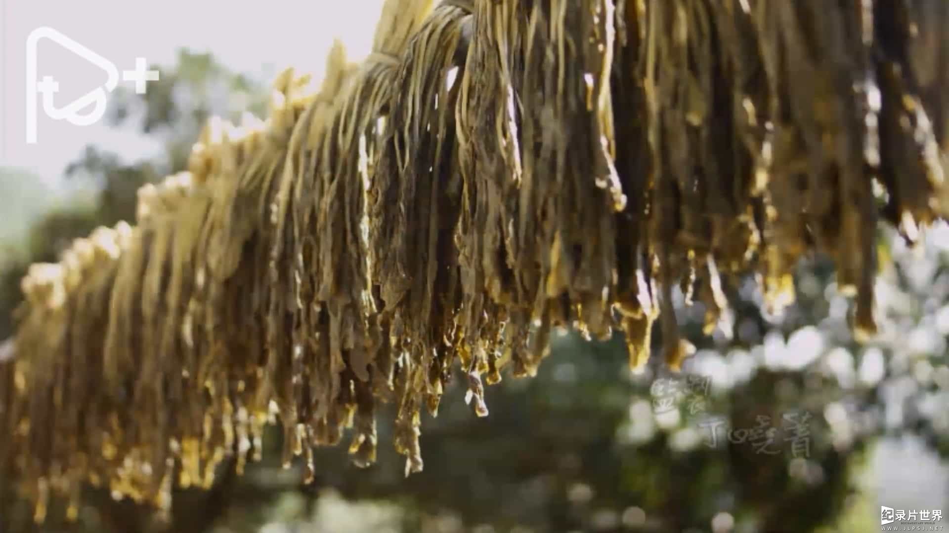 PTS公视美食纪录片/ 舌尖上的台湾/中国美食系列《台湾食堂 台灣食堂Taiwan Taste》3季全 全36集