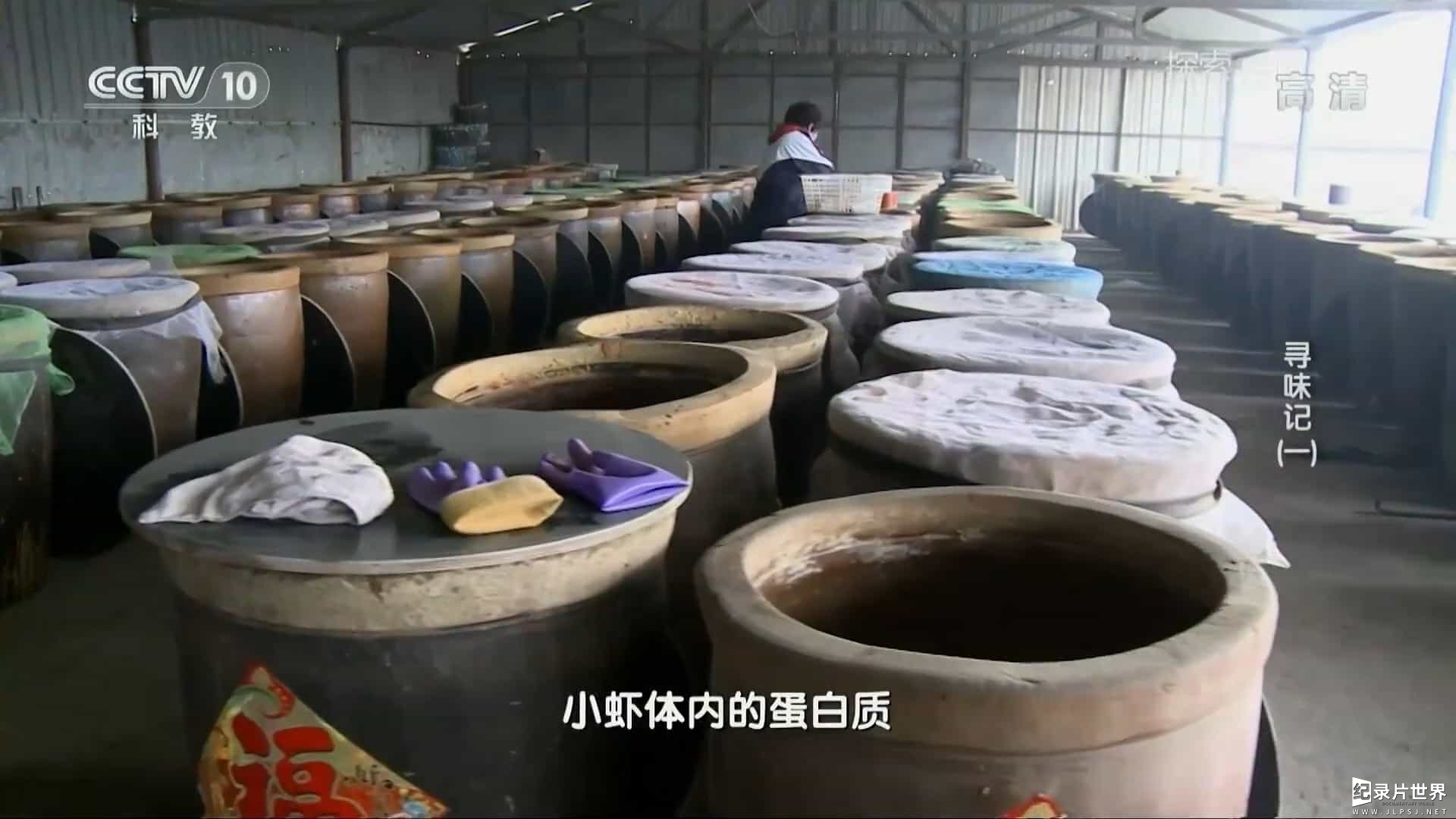 关于美食调味料的纪录片/中国美食系列《寻味记》全3集