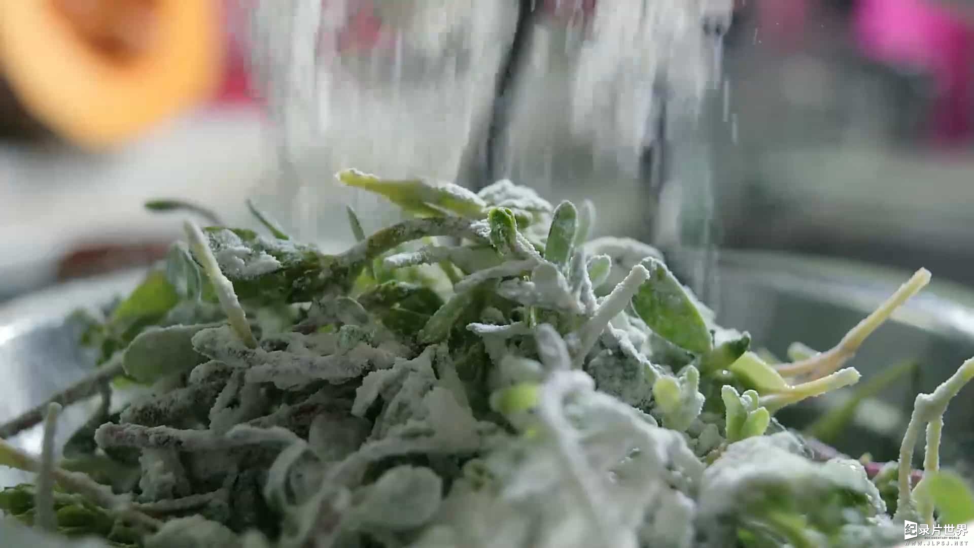 生态健康美食纪录片/中国美食系列《万物滋养 Giving Cycles》全2季全