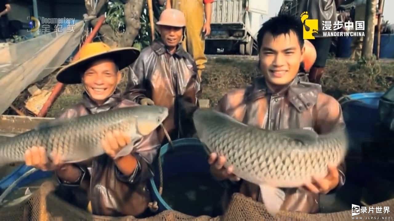 美食纪录片/中国美食系列《味道中山 Taste Zhongshan》