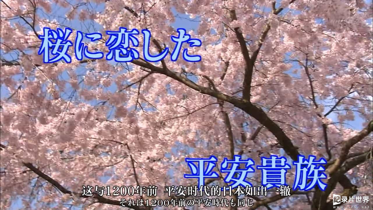 NHK纪录片《樱花树之恋 ~日本人和樱花的故事~》