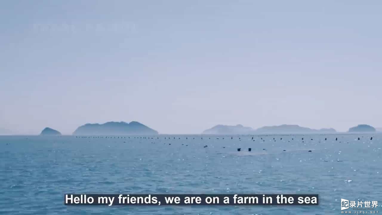 外国农业纪录片《农场NOAL》全两季 1080p高清下载