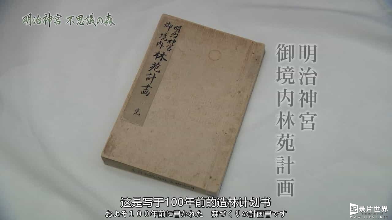 NHK纪录片《明治神宫 奇妙森林 百年大实验 2015》