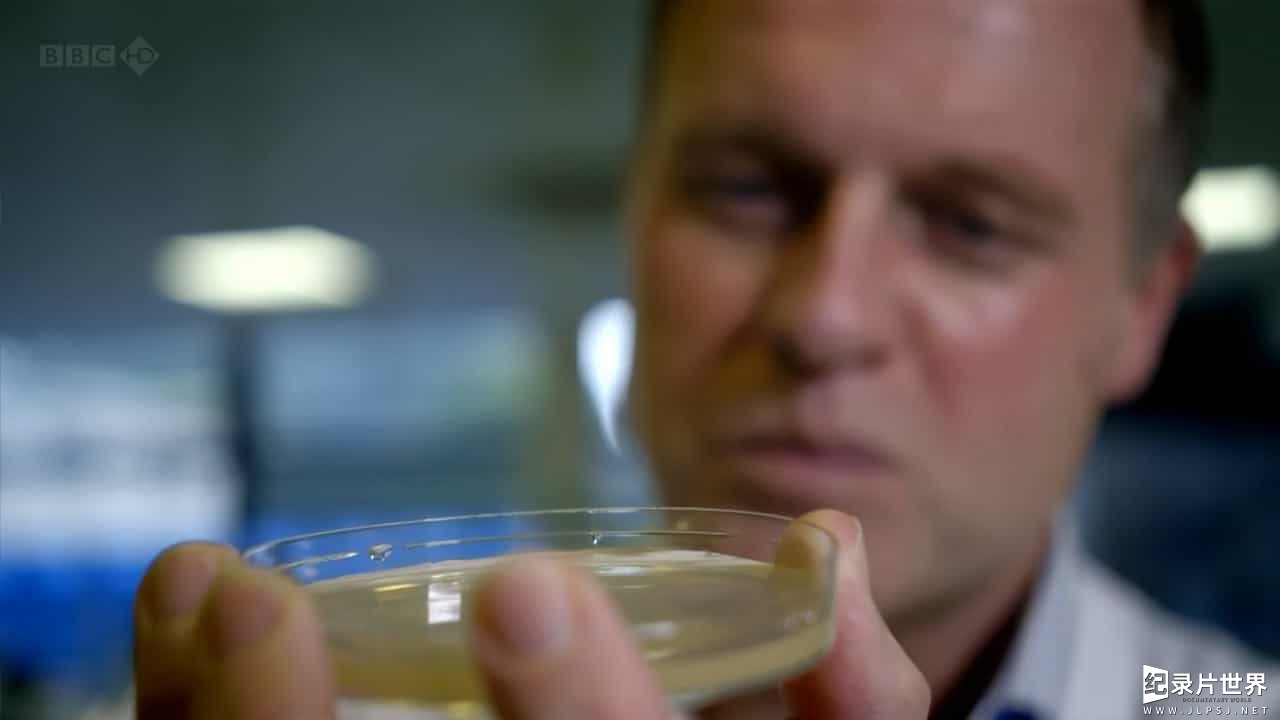 BBC纪录片/地平线系列/细菌纪录片《抗击超级细菌/战胜超级病菌 Defeating the Superbugs 2012》全1集