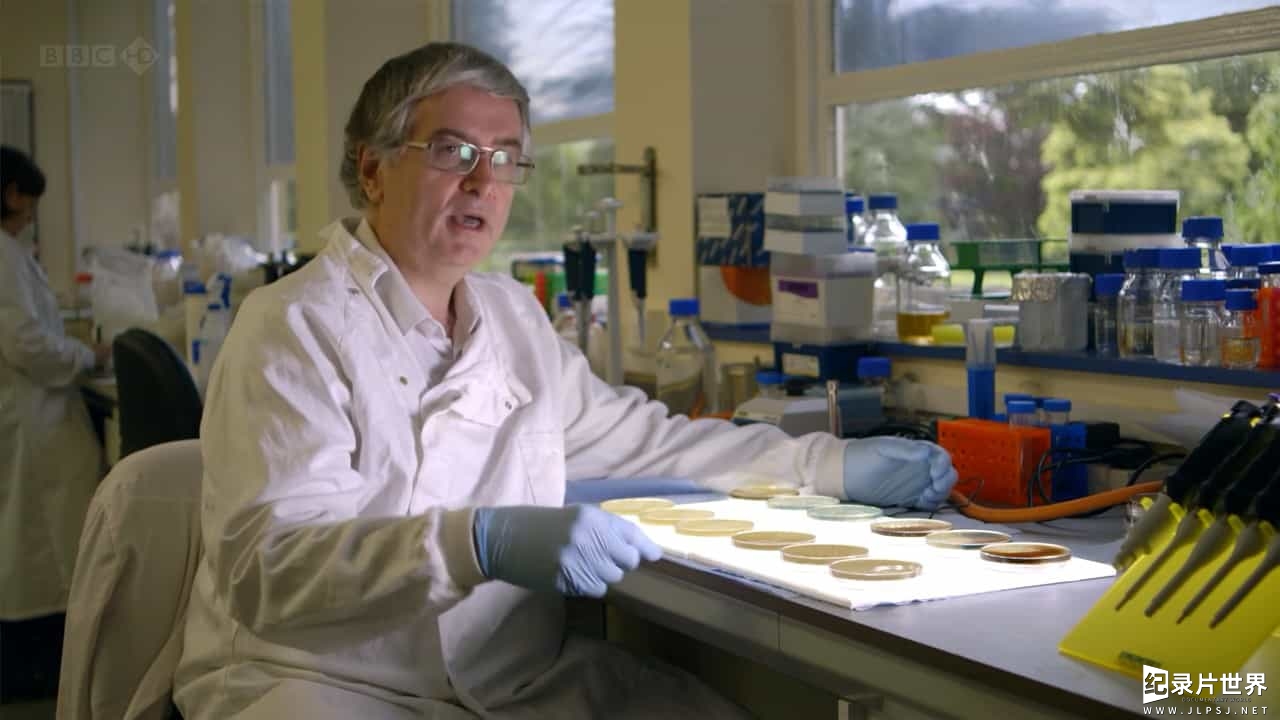 BBC纪录片/地平线系列/细菌纪录片《抗击超级细菌/战胜超级病菌 Defeating the Superbugs 2012》全1集