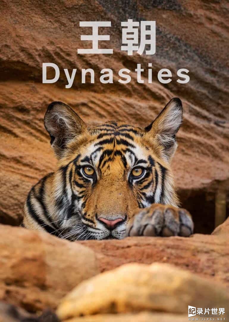 BBC纪录片/动物纪录片《王朝 Dynasties 2018》第1-2季