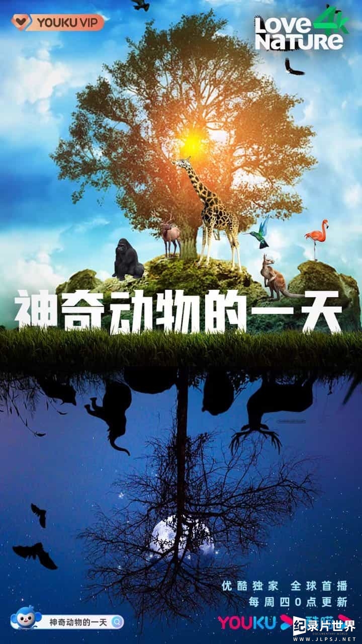 加拿大纪录片/野生动物生存《神奇动物的一天 Dawn to dusk 2020》第一季 全8集