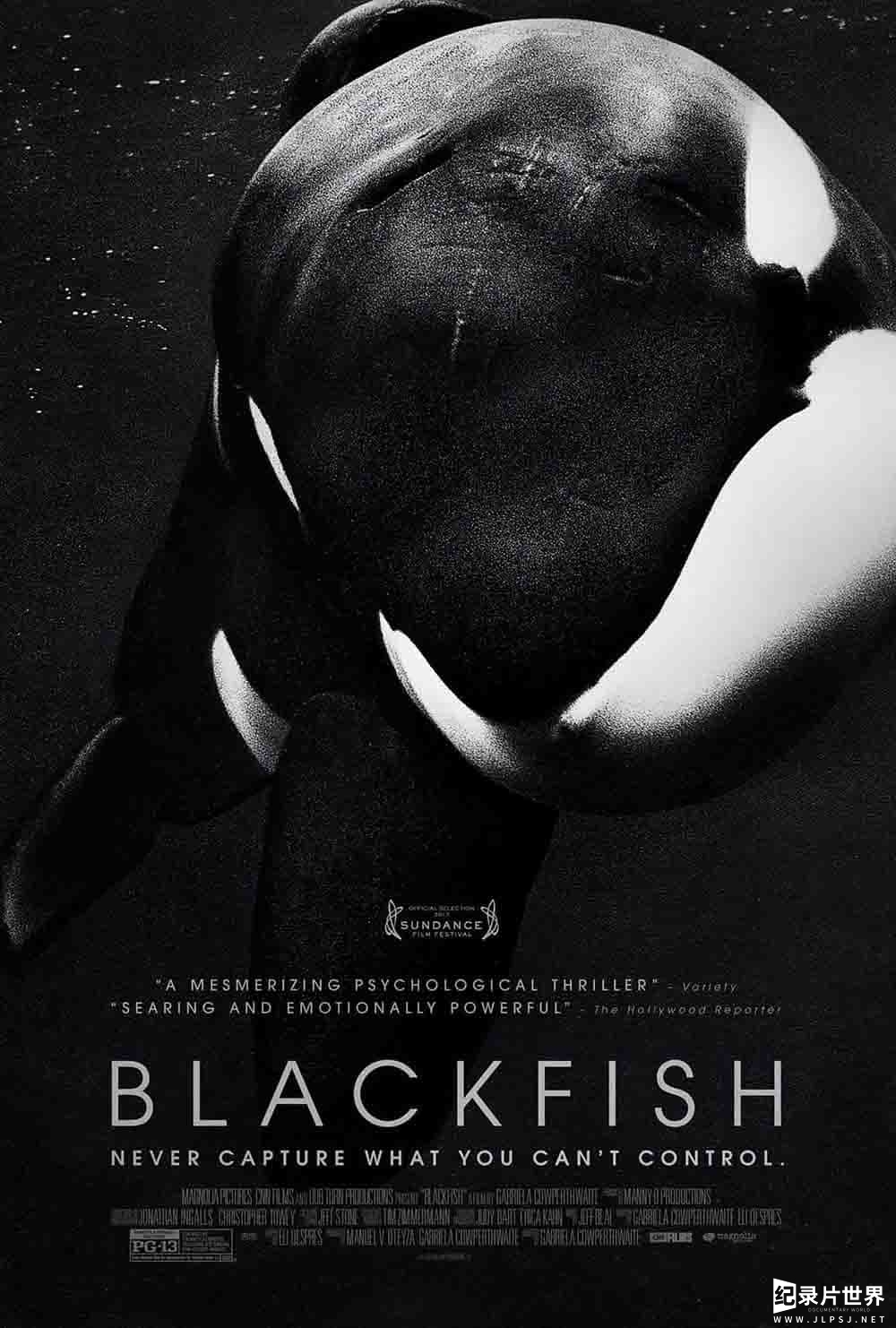 动物保护纪录片《黑鲸/黑鲸鱼 Blackfish 2013》全1集