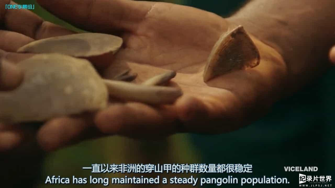 动物保护纪录片《黑市大起底：盗猎穿山甲 Black Market : Poaching Pangolin》全1集