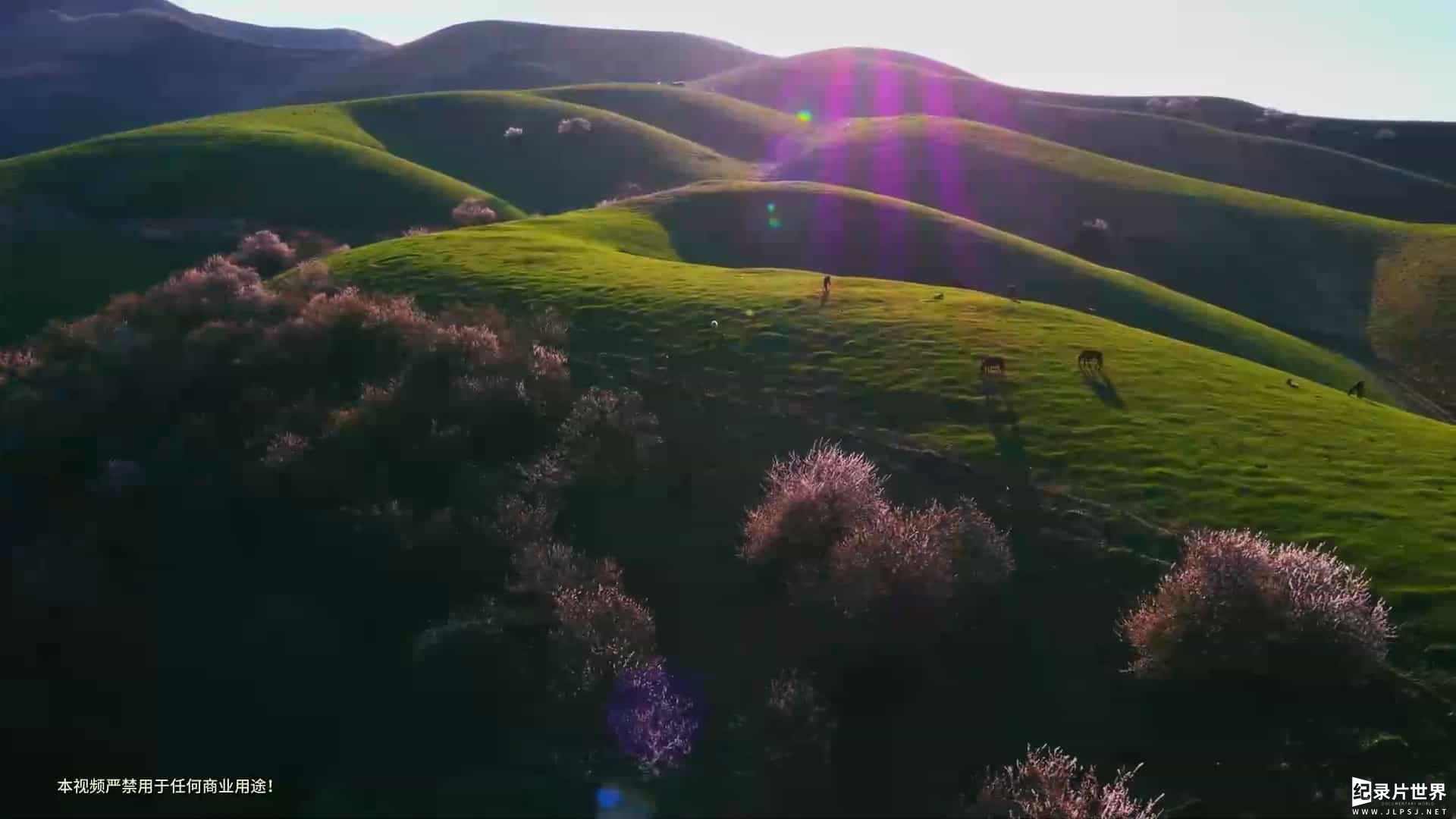 纪录片《天山脚下 At the Foot of the Tian Shan (2018)》全5集