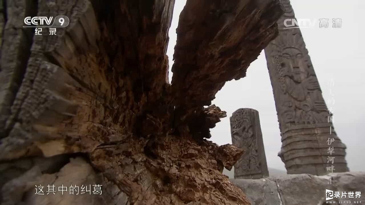 央视纪录片/中国考古纪录片《消失的古国—伊犁河畔 2017》全3集