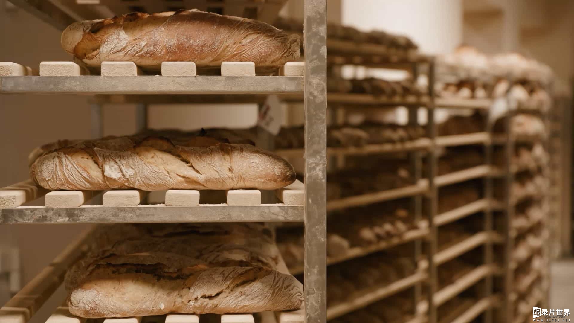 面包纪录片《面包的艺术/每天来一口魔法面包Schönes neues Brot / De la farine au four, quel pain ? / Bread 2020》全1集