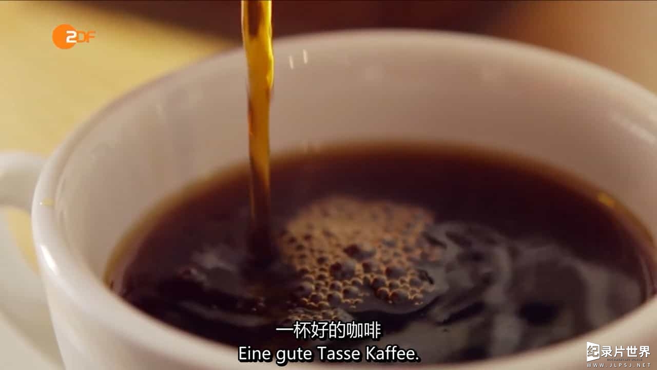 德国ZDF纪录片《我们的咖啡有多棒？ Wie gut ist unser Kaffee? 2015》全1集