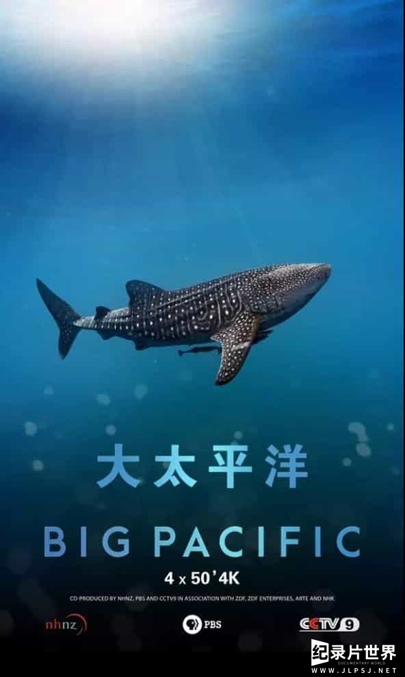 央视改版/PBS纪录片/ZDF纪录片《大太平洋 Big Pacific 2017》全5集