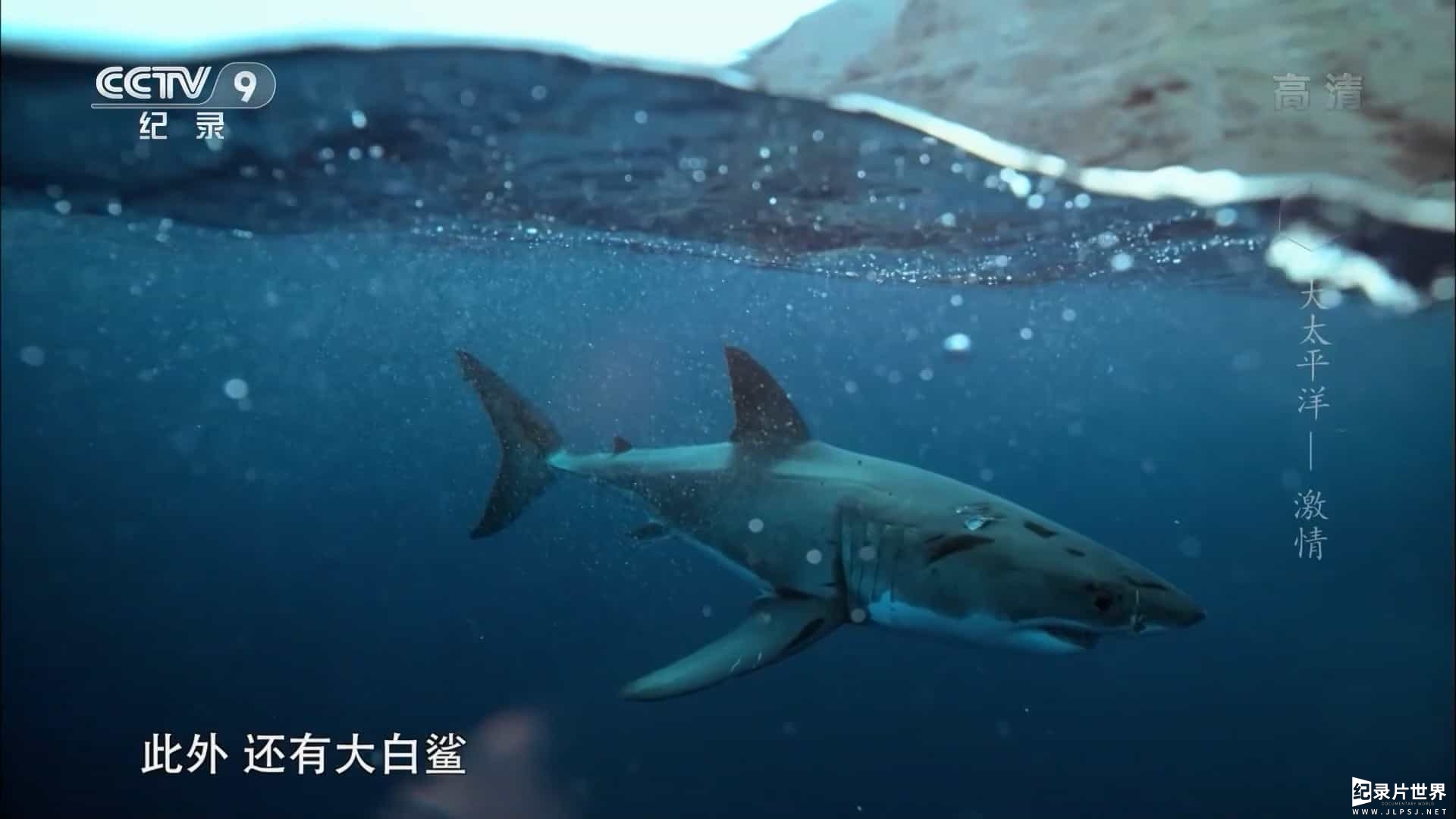 央视改版/PBS纪录片/ZDF纪录片《大太平洋 Big Pacific 2017》全5集