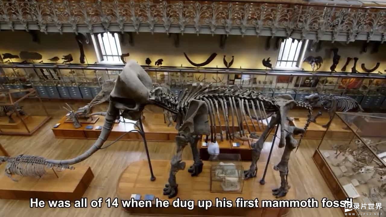 ZDF纪录片《猛犸—冰河时期的巨象/猛犸象：冰河世纪的巨兽 Mammoths Giants Of The Ice Age 2015》全1集