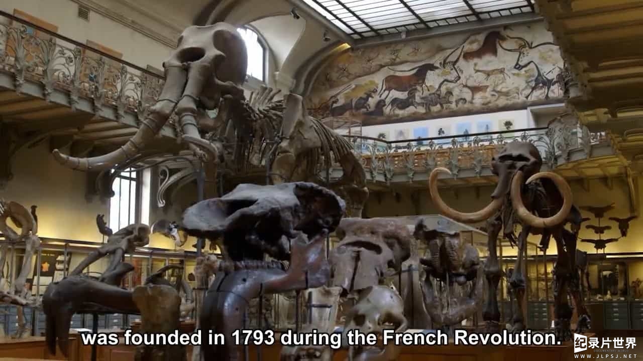 ZDF纪录片《猛犸—冰河时期的巨象/猛犸象：冰河世纪的巨兽 Mammoths Giants Of The Ice Age 2015》全1集