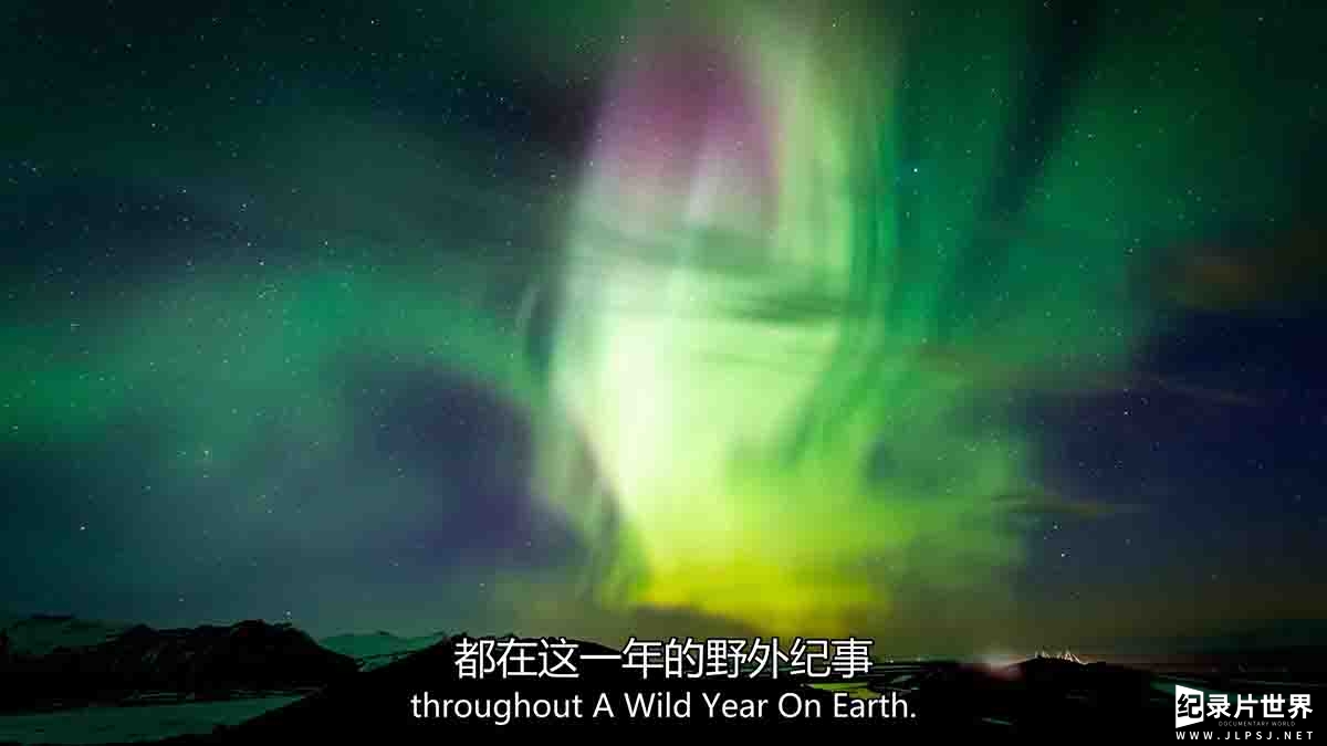 精选系列/BBC纪录片/地球四季《狂野地球 A Wild Year on Earth》全6集