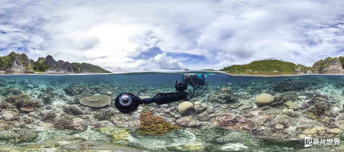 Netflix纪录片/生态保护《追逐珊瑚 Chasing Coral 2017》全1集