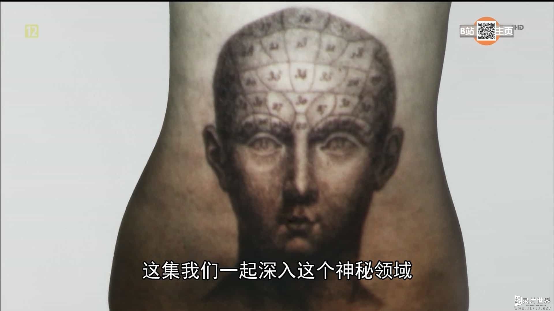 法国纪录片/科普纪录片《腹部：我们的第二个大脑 Le ventre, notre deuxième cerveau》全1集