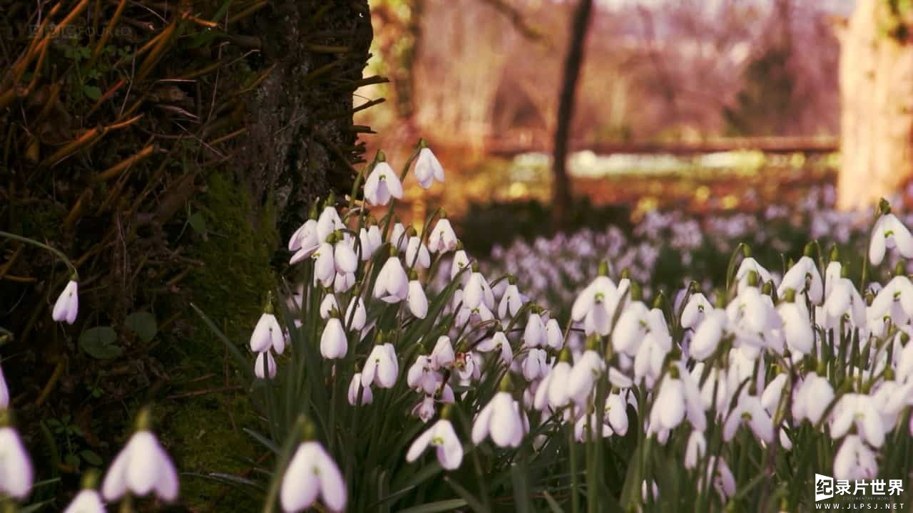 BBC纪录片《土壤科学 Deep Down and Dirty The Science of Soil》全1集