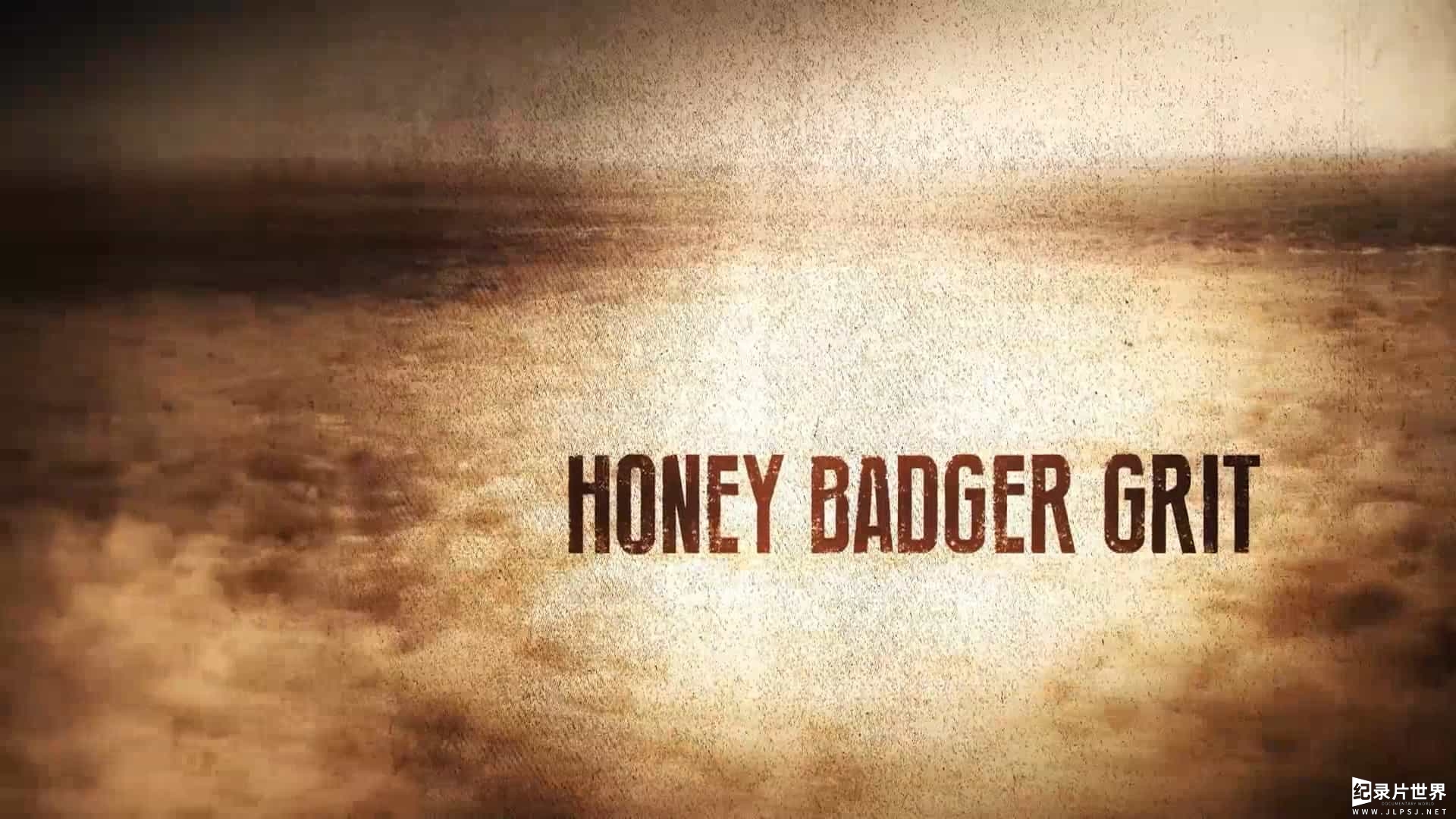 史密森频道《蜜獾葛瑞特 Honey Badger Grit 2017》全1集