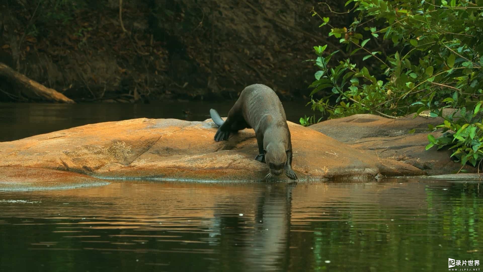 精选系列/BBC纪录片《地球壮观河流之旅 Earths Great Rivers 2022》全1-2季 共6集