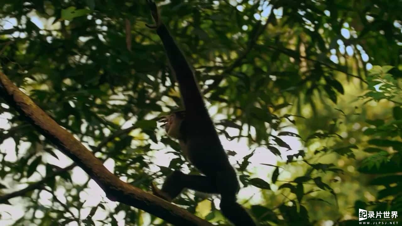 精选系列/BBC纪录片《泰国：地球上的赤道天堂 Thailand: Earth's Tropical Paradise》全3集