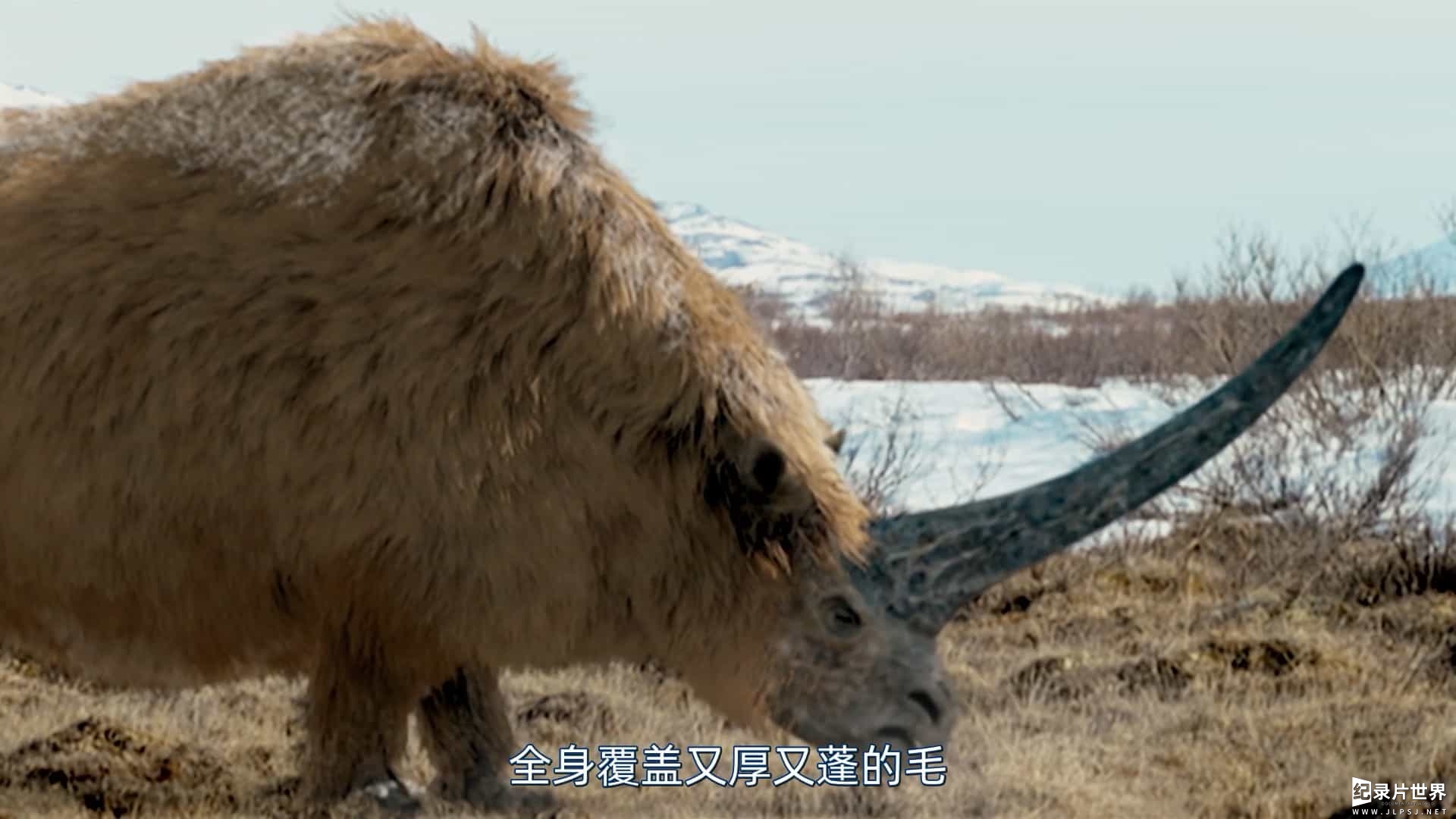 BBC纪录片《神奇动物：一段自然历史/神奇动物：自然历史 Fantastic Beasts: A Natural History 2022》全1集